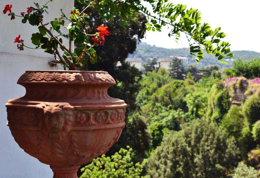 Hotel Relais La Rupe Sorrento Exteriér fotografie